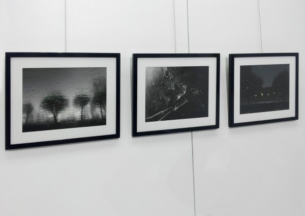 Снимки Дарьи Рысаковой на выставке
