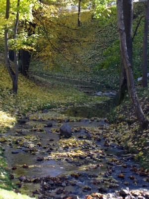 Городница