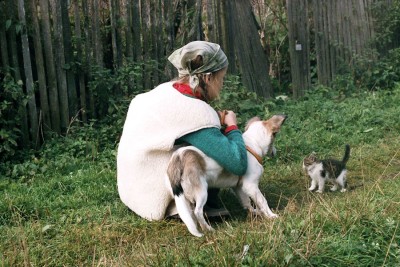 а дальше нас не пустили...