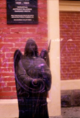 Security angel