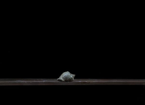 6. Раковина. 2014год. Пигментная печать. 62х45см<br />Достал ее со дна моря я сам.<br />Нырнул и достал.<br />Тогда под водой мог находиться больше минуты.<br />Не помню, где это было.<br />Возможно, на Черном, а может, и  на Средиземном море. <br />Помню только восторг и радость на детских лицах дочерей.<br />(воспоминания о детстве выросших дочерей)